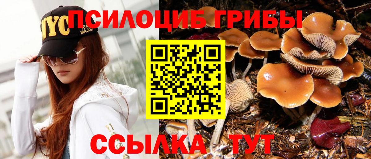 Киржач  Псилоцибиновые грибы мицелий  Вход с VPN  Галлюциногенные грибы прущие грибы 